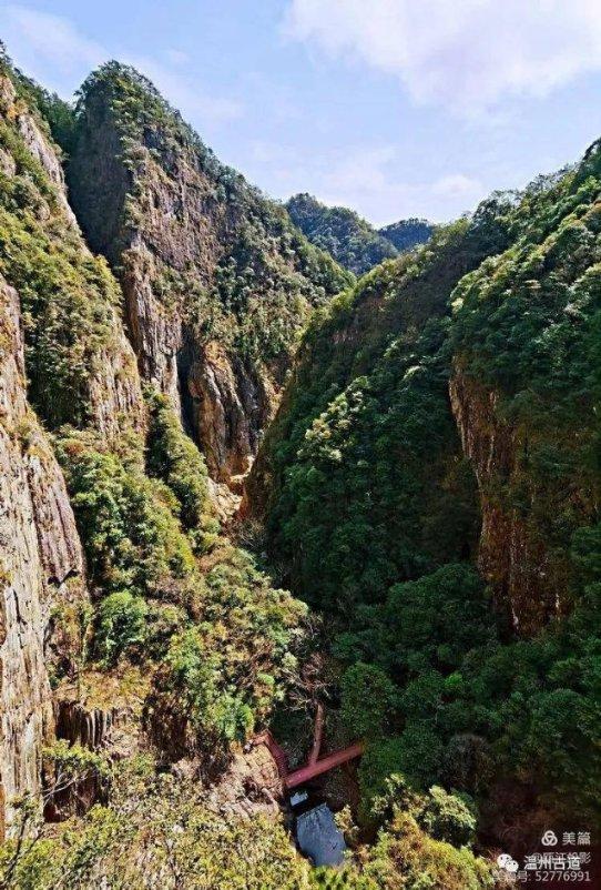 动物帮帮忙保卫家园